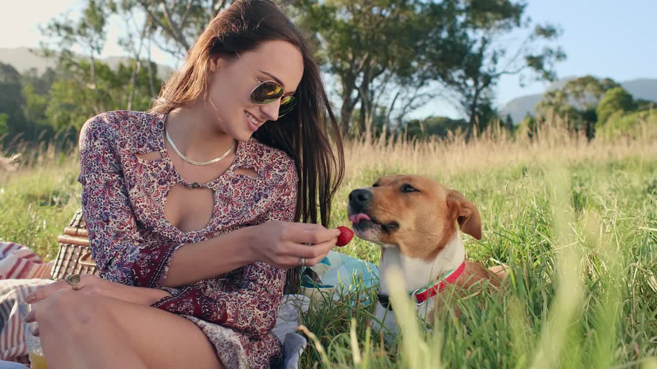 아름다운 젊은 여성이 피크닉에서 애완동물 개 딸기를 먹인다