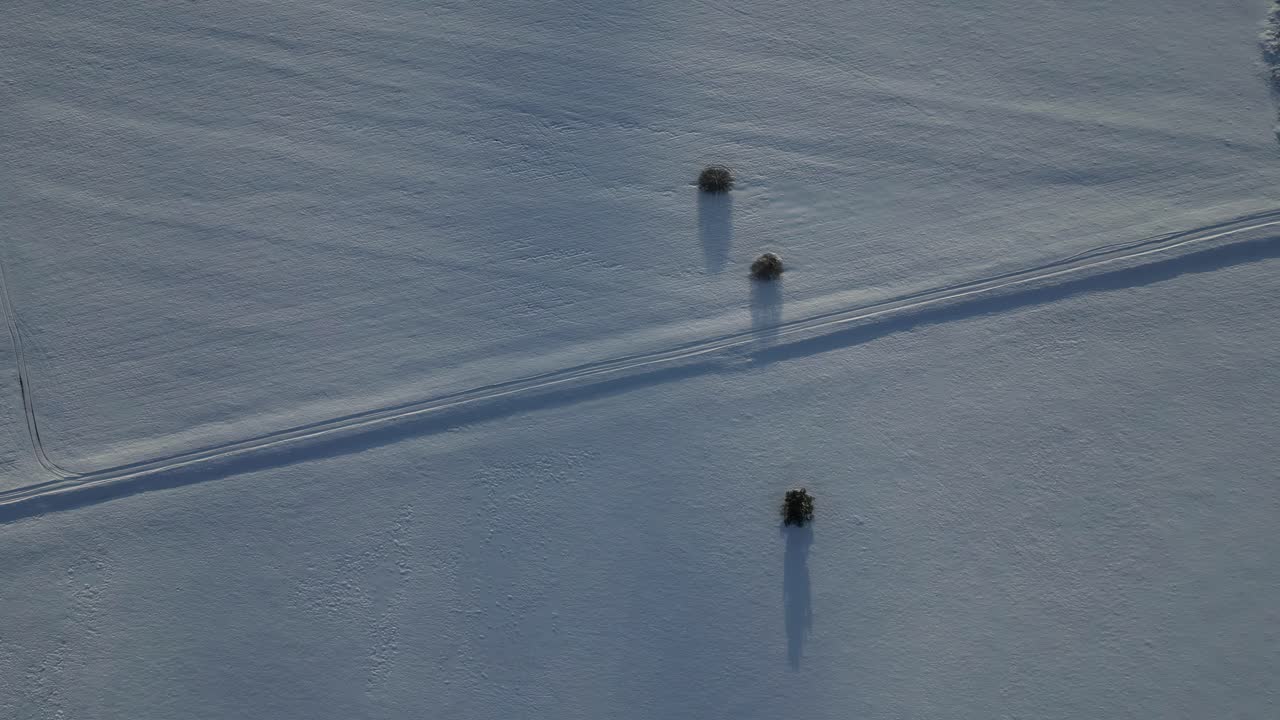 바로 위에서 찍은 공중 촬영은 겨울의 낮은 빛에 긴 그림자를 던지는 세 개의 외로운 나무가 있는 눈 은 을 포착합니다.
