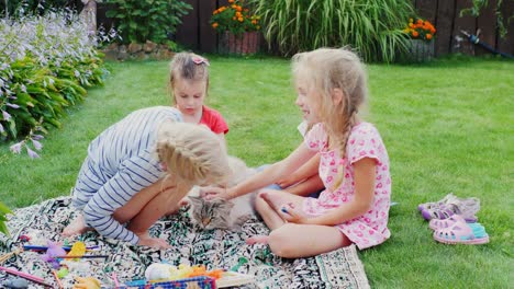 zorgeloze kinderen spelen met de kat in de tuin.