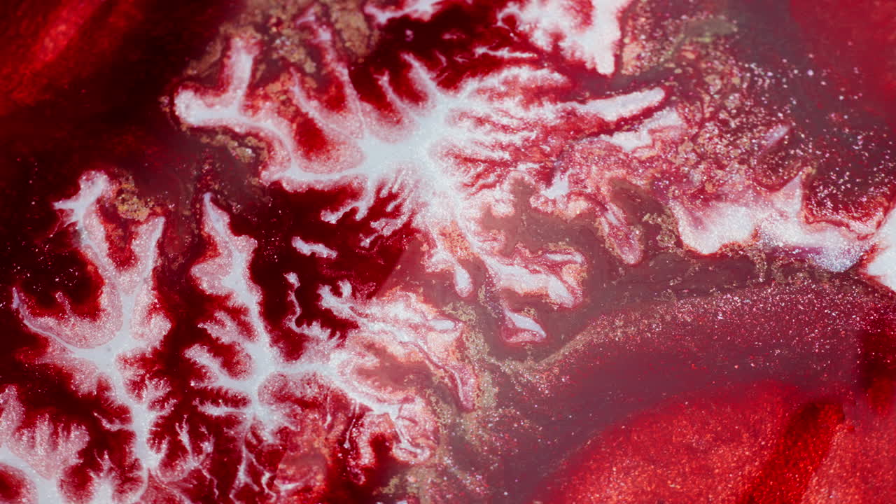 Ink in motion creating red veined abstract shapes