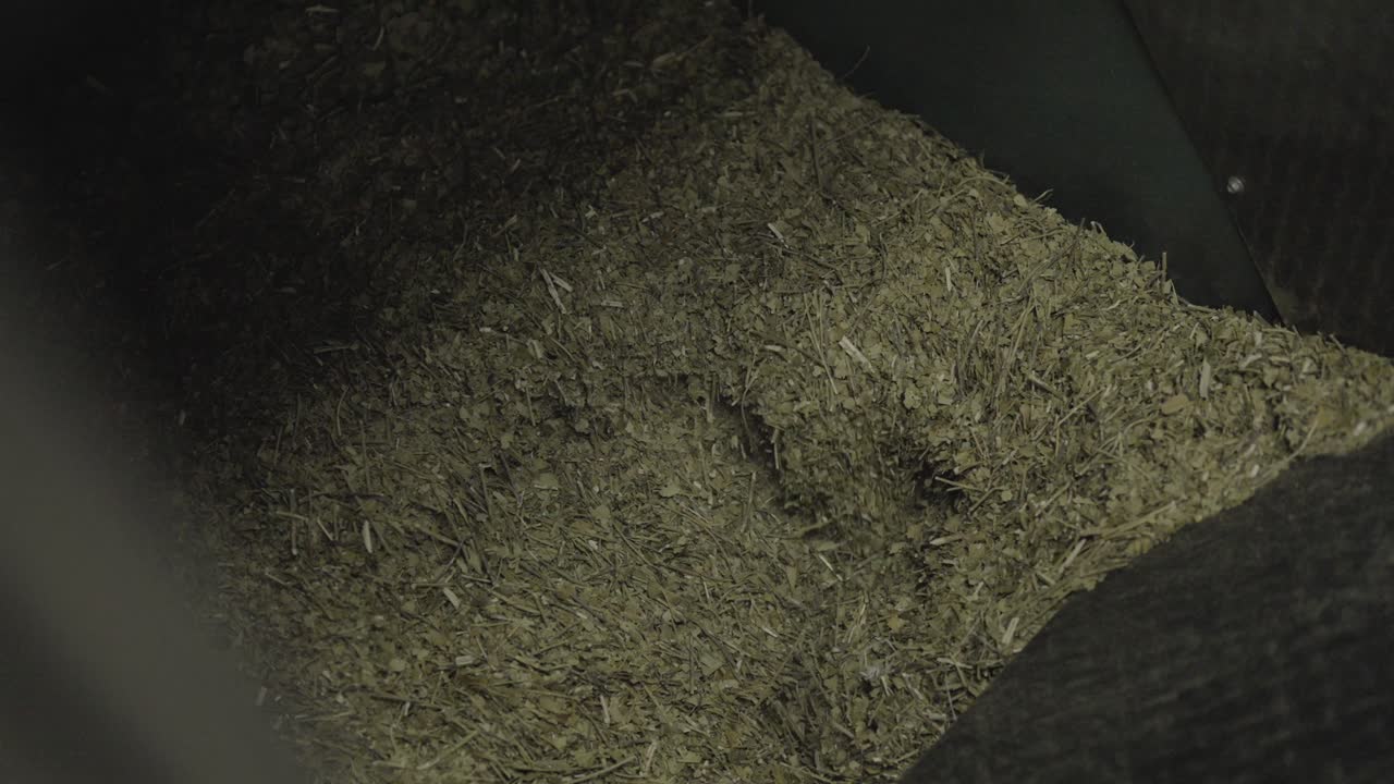 Detailed close-up shows finely ground yerba mate (Ilex paraguariensis) in processing container during final grinding step for infusion production, slow motion, Misiones, Argentina