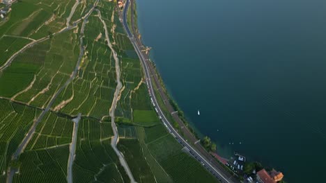 reveal drone shot of the lavaux vineyards at sunset and the lake of geneva in switzerland