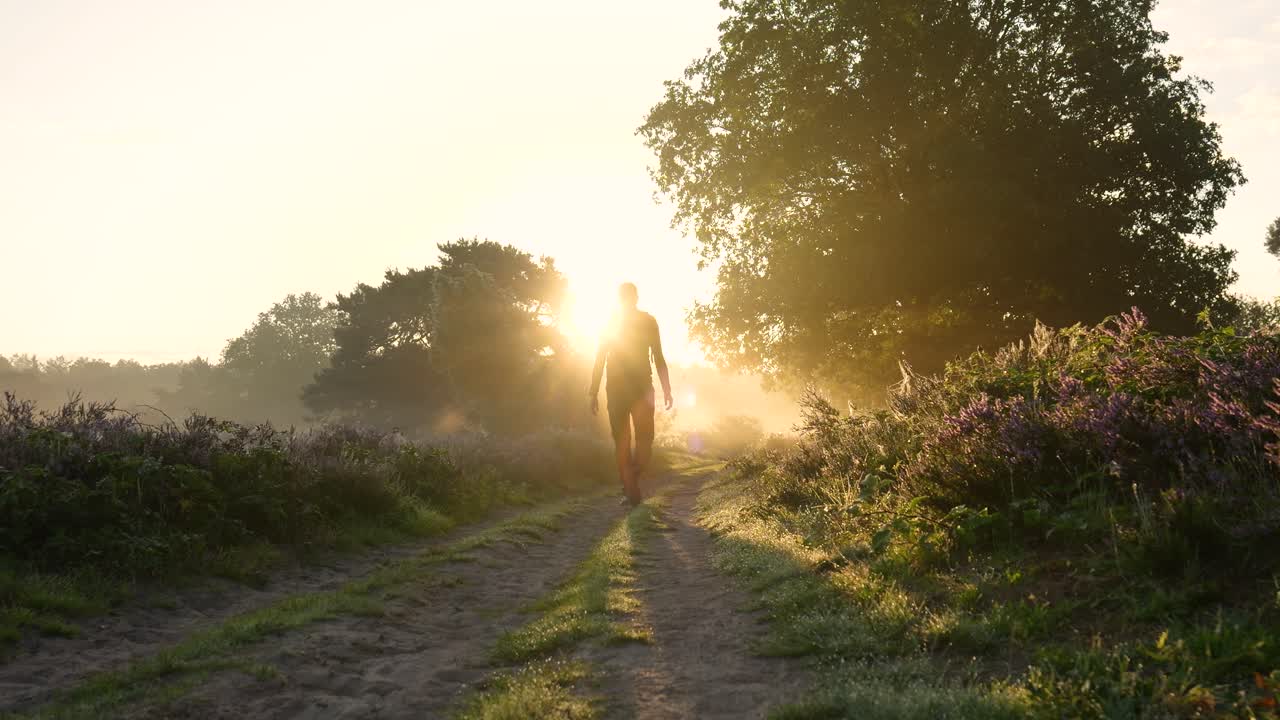 amanecer caminar en el bosque de niebla