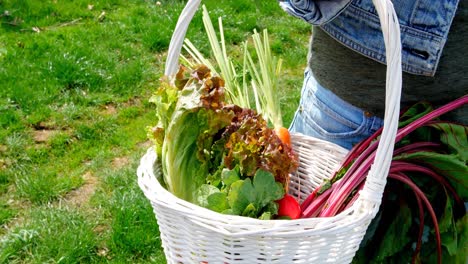 Woman-holding-vegetable-basket-in-field-4k