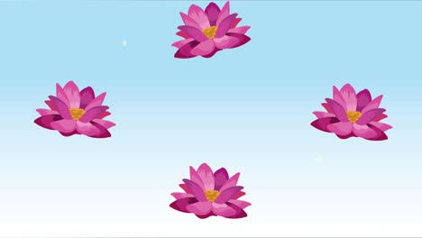 animación con el patrón de las flores de loto púrpura