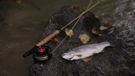 fly fishing catch on a rocky stream