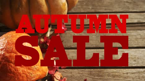 animation of autumn sale text in red letters over pumpkins and wooden boards