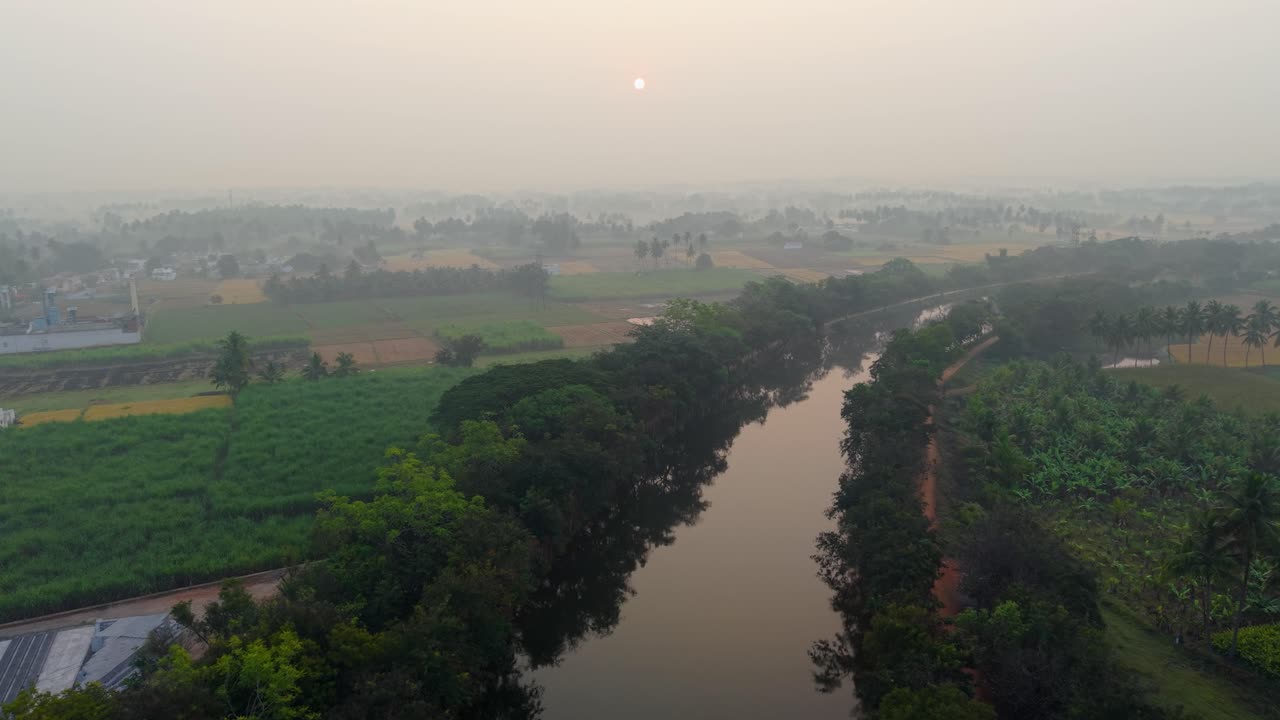 Ampia veduta aerea di un canale alberato con acqua calma e una tenue luce all'alba. Paesaggio rurale sereno con simmetria naturale, atmosfera nebbiosa e ambiente campestre tranquillo