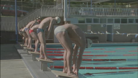 male swimmers dive into a pool to start racing