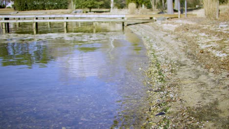 rustling water along a beach head with a deck