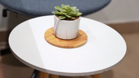 close-up of a green succulent in marble pot on a white table. perfect for themes of calm, minimal decor, biophilic design, workspace aesthetics, or modern indoor styling.