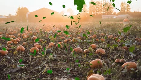 animation of autumn leaves falling over pumpkin patch