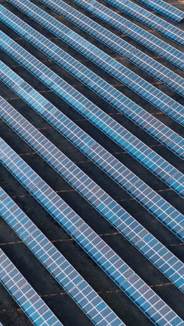aerial view of the solar power plant. rows of blue photovoltaic panels in a field. vertical video