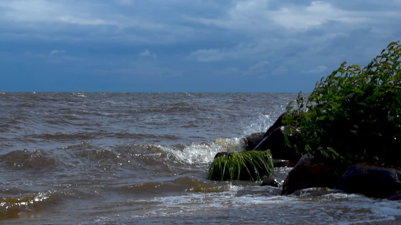 Gorgeous footage of a large lake shoreline during a windy summer sunny day in Peipsi Kallaste with brown lake water splashing on rock and beach grass with white water and foamy bubbles, slow motion