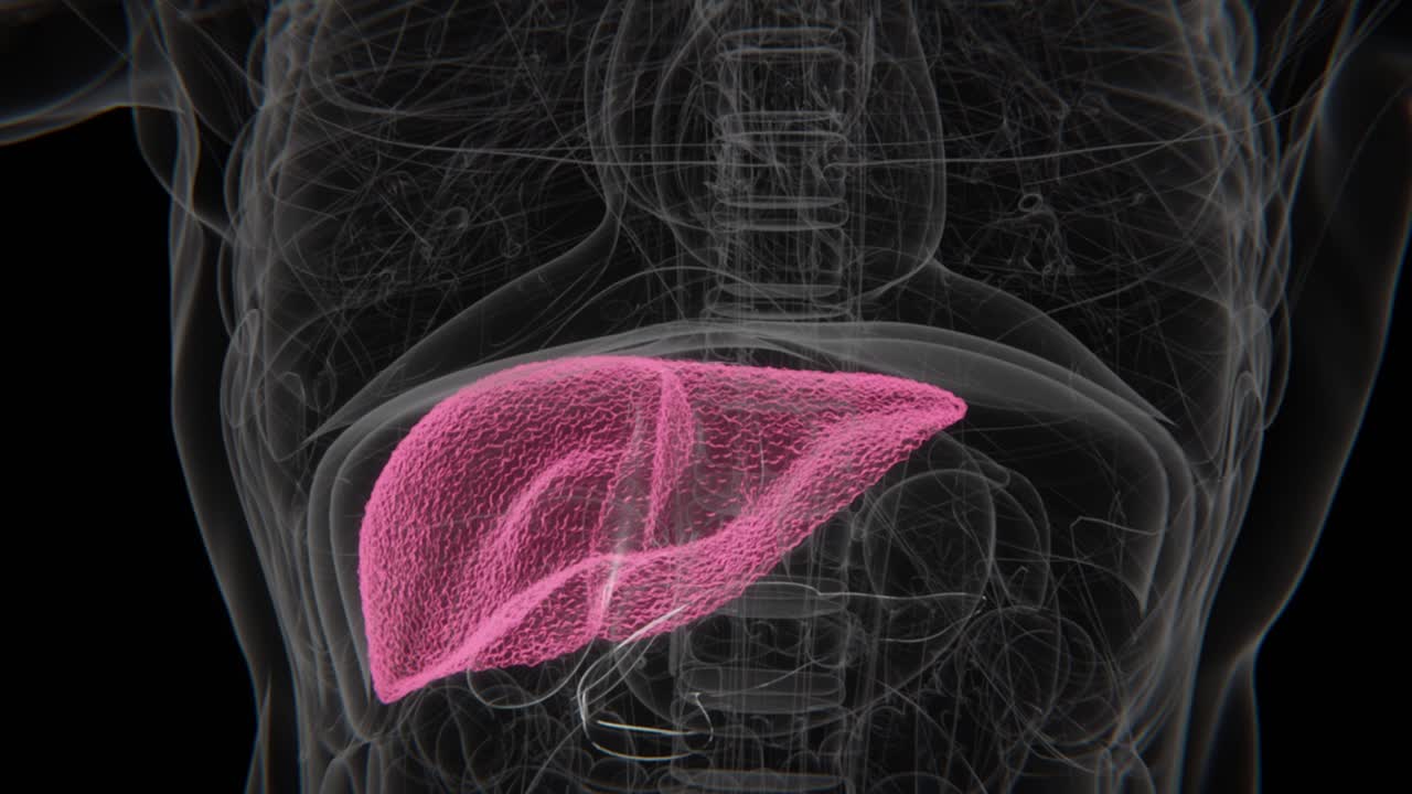 Normal to Liver Cirrhosis indication in Xray HD Video | Liver Cirrhosis showing in HD X-Ray Video
