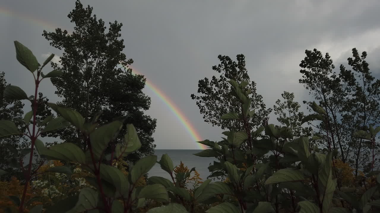 Wide shot of foreground trees with rainbow on the lake horizon line in the distance