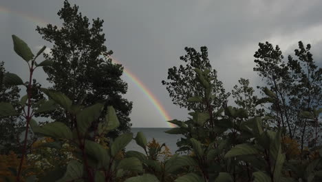 wide shot of foreground trees with rainbow on the lake horizon line in the distance