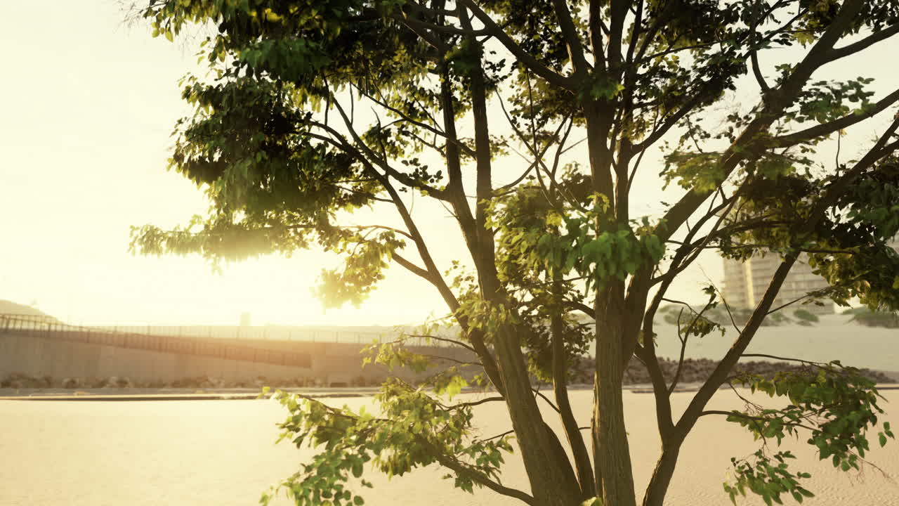 산업 구역에서 해가 지는 동안 외로운 나무