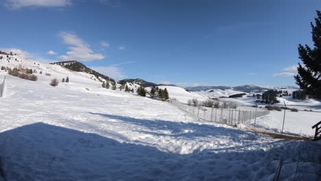 time lapse of a wolf sanctuary during winter