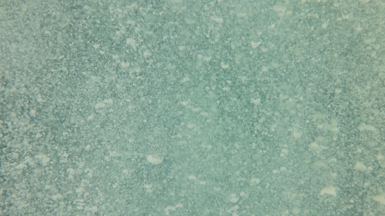 abstracto fondo bajo el agua. agua sucia de cerca.