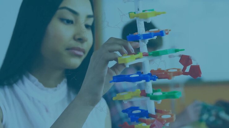 Animation of female student concentrating on building a 3d model in class