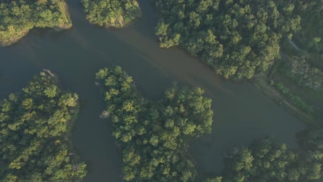 Grüne-Feuchtgebiete-Von-Nepal-Mit-Wald