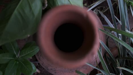 rising shot out of an earthen mud pot to reveal bright green plants and colourful flowers