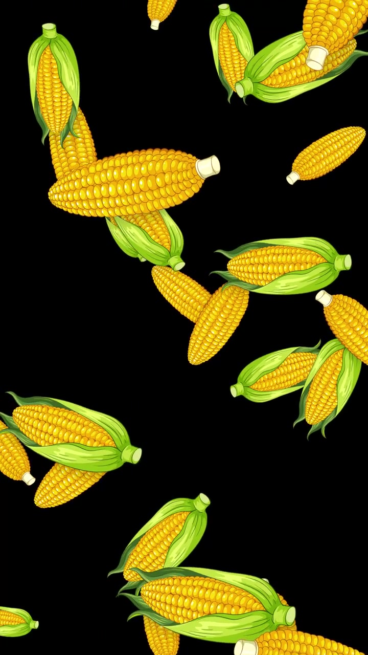 Vertical animation of illustrated corn cobs falling and rotating against a dark background.