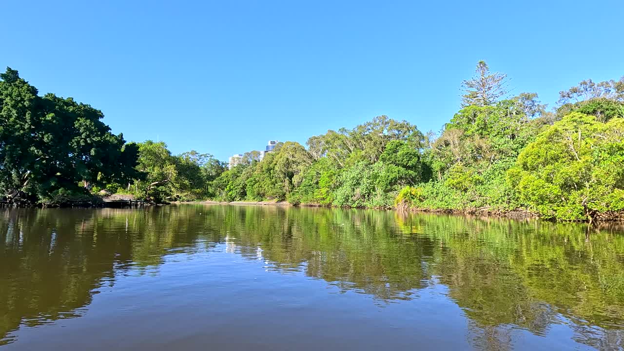 울창한 강 풍경을 통해 평화로운 보트 여행