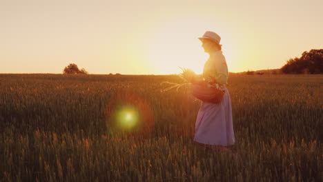 romantic woman with bouquet of wildflowers walking on the field at sunset back view 4k video