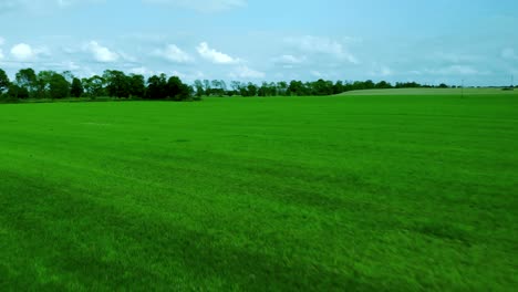 Luftaufnahmen-über-Grasfeld,-Grüner-Rasen-Und-Blauer-Himmel,-Naturlandschaft-Auf-Dem-Dorf,-Filmisches-Bild,-Das-Von-Einer-Drohne-Aufgenommen-Wurde