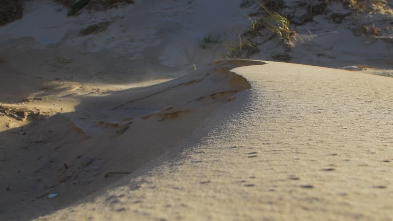 공중에 흐르는 해변 모래 언덕의 모래 먼지, 해변의 강풍으로 인해 공중에 떠 있는 모래 입자, 발트해 해안선, 해안 침식, 기후 변화, 화창한 날, 근접 촬영