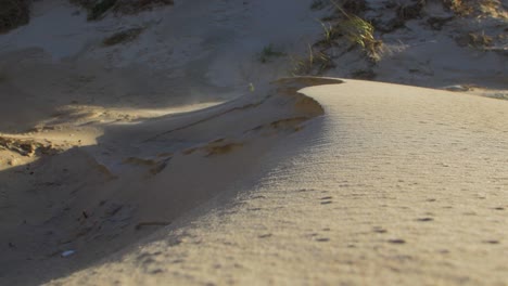 sand dust of seaside sand dunes flowing in the air, sand particles floating in the air due to the high wind on the beach, baltic sea coastline, coastal erosion, climate change, sunny day, closeup shot