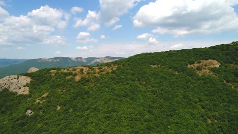 mountain landscape with lush forest