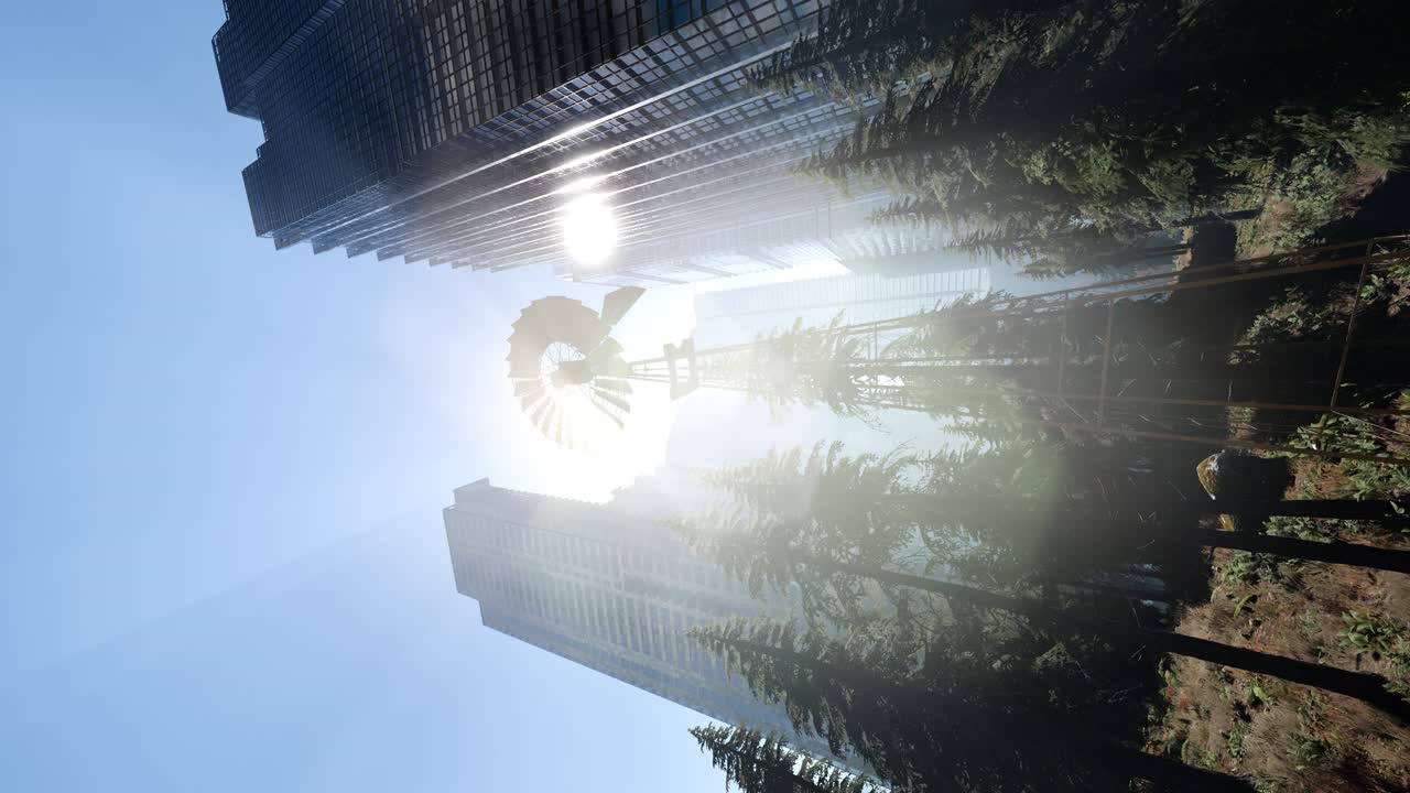 Floresta, Encosta e Cidade
