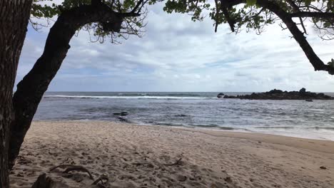 exotic remote beach in sri lanka south indian ocean coastline asia tropical holiday destination