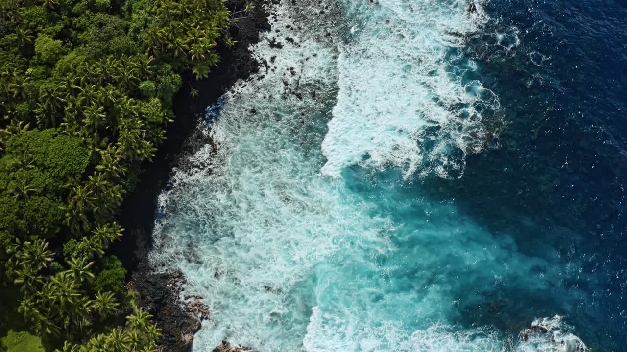 Turkosa vågor slår mot taggiga vulkaniska klippor medan Hawaiis palmklädda skog rinner ut mot havet och skapar en hisnande kollision av djungelgrönt och havsblått från ovan.