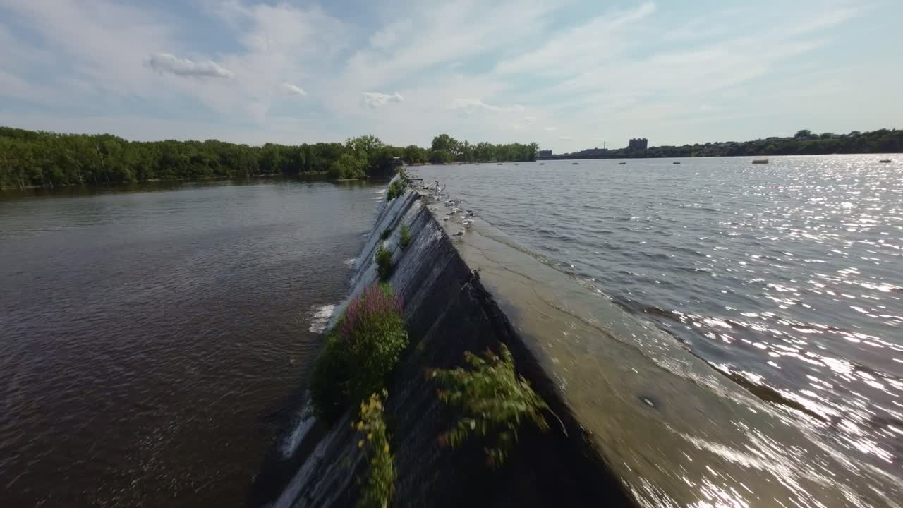 Close-Up View Of Birds Flying Above The Riviere des Prairies (Prairie River) During Daytime In Montreal, Quebec, Canada. FPV drone shot