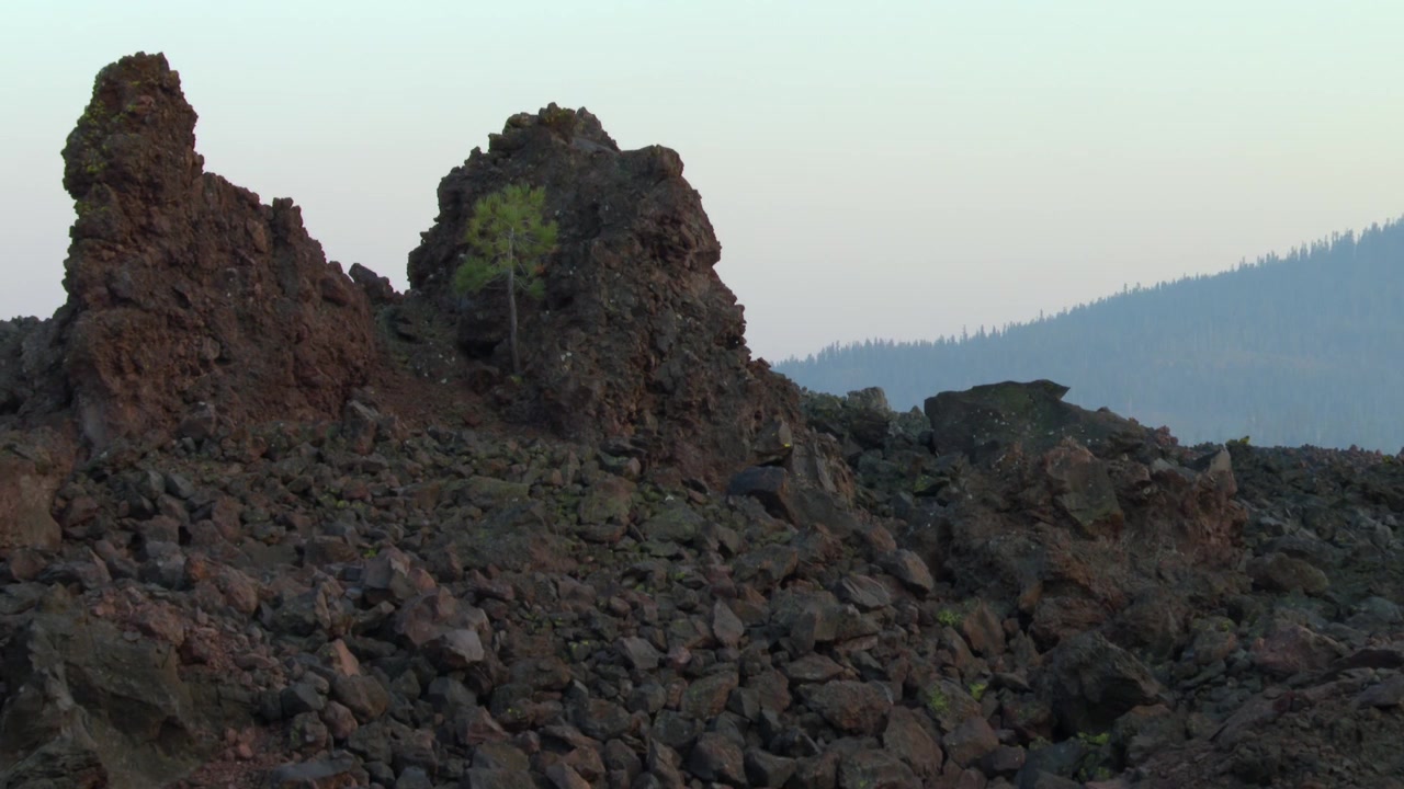 Formazioni rocciose vulcaniche frastagliate e campo di lava accidentato con singoli alberi di conifere sparsi nel Parco Nazionale Vulcanico di Lassen, California, USA. Zoom avanti