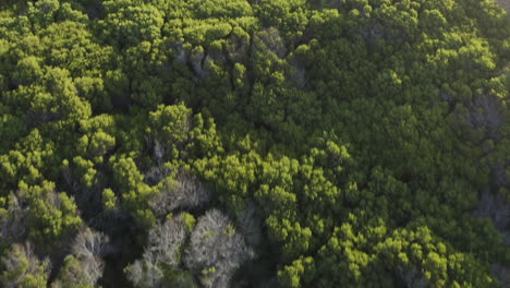 Ven-A-Ver-Lo-Que-La-Naturaleza-Tiene-Reservado