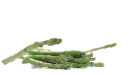 asparagus falling in super slow motion