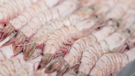 Freshly-Frozen-Shrimps-On-Ice-At-The-Shop-Counter-Of-Local-Seafood-Market