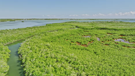 Key-West-Florida-Aerial-v35-flyover-capturing-vast-expanse-of-pristine-white-mangroves-along-Fivemile-Creek-with-lower-sugarloaf-sound-and-state-road-A1A-views---Shot-with-Mavic-3-Cine---February-2023