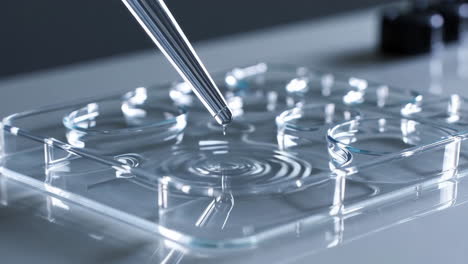 pipetting liquid into a microplate