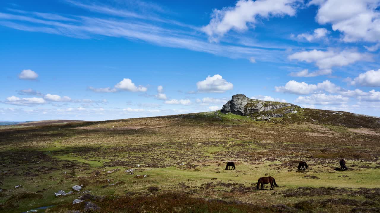 밝고 화창한 날 야생 조랑말과 함께 다트무어에 있는 헤이터 암석의 느린 패닝 타임랩스