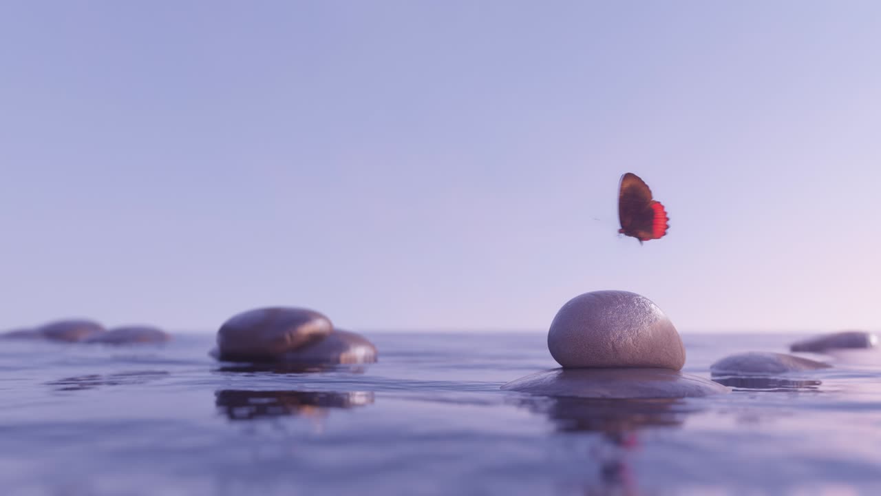 버터플라이 효과 오버 런스 스톤 워터 루프