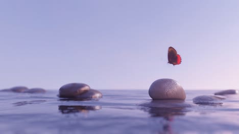 efecto de mosca mariposa sobre el bucle de agua de piedra de equilibrio
