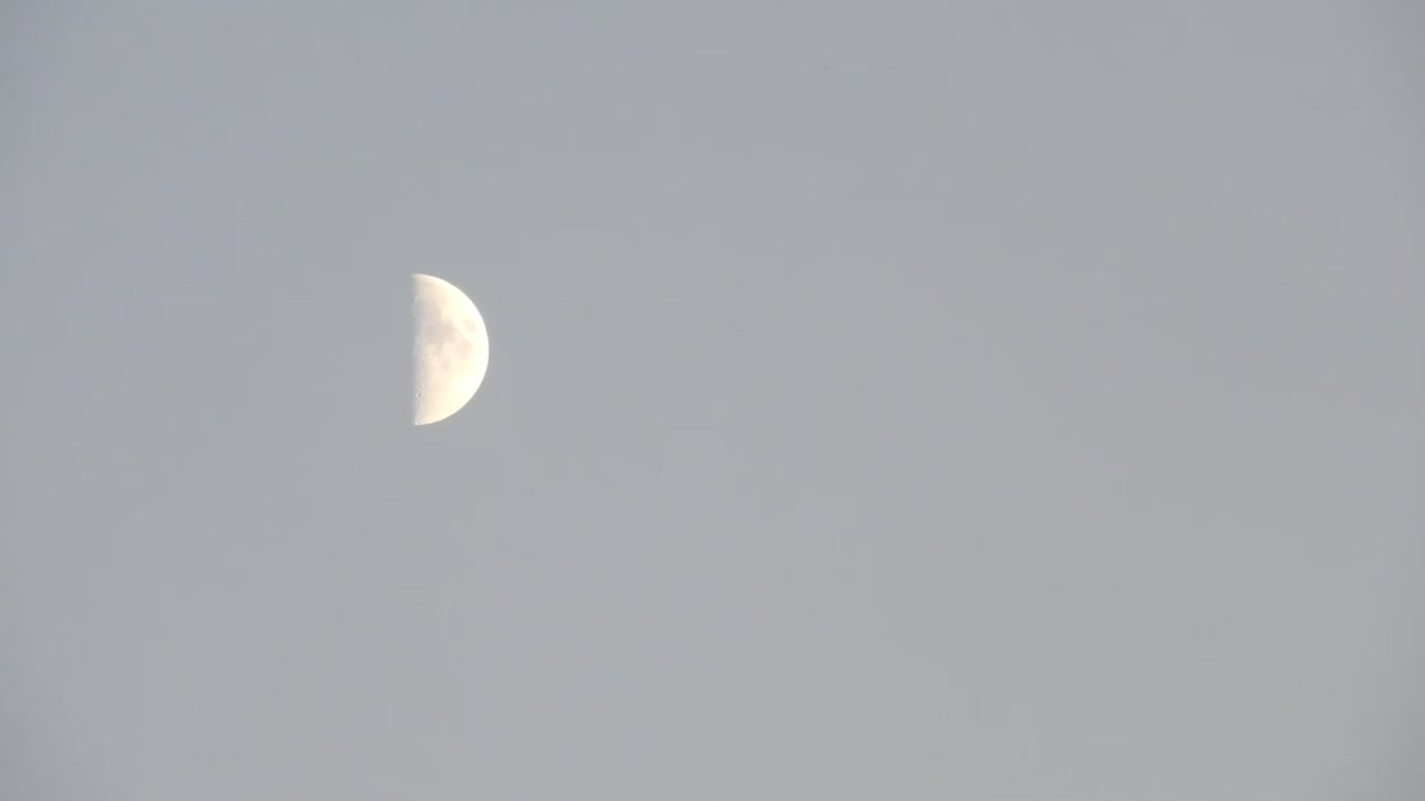 Half Moon in the Daytime Sky