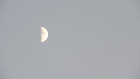 half moon in the daytime sky