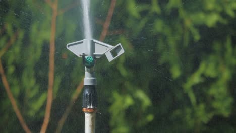 el rociador gira en círculo y rocia agua.